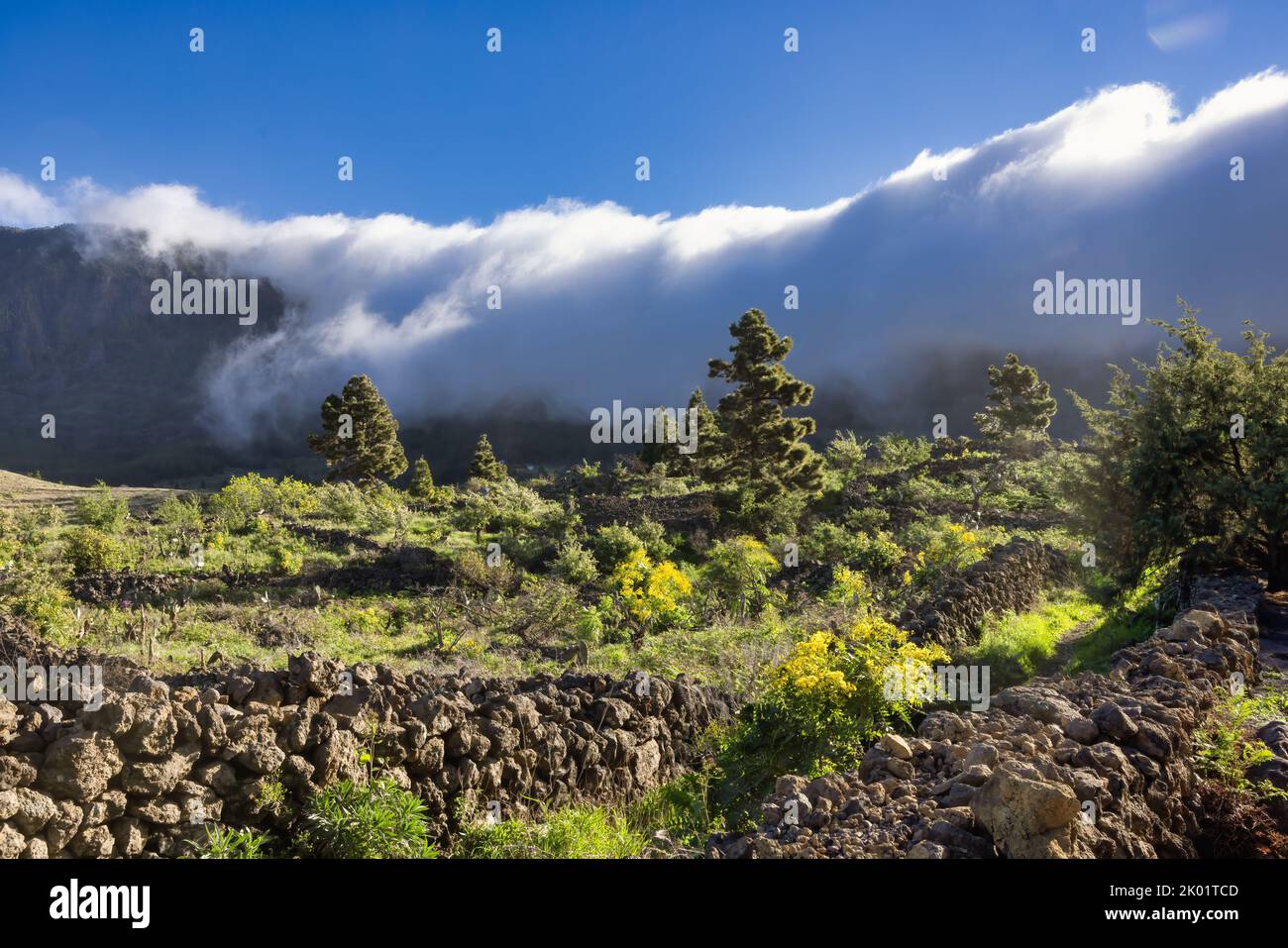Sunlight at Cumbre Nueva with rolling clouds waterfall, La Palma Spain Stock Photo