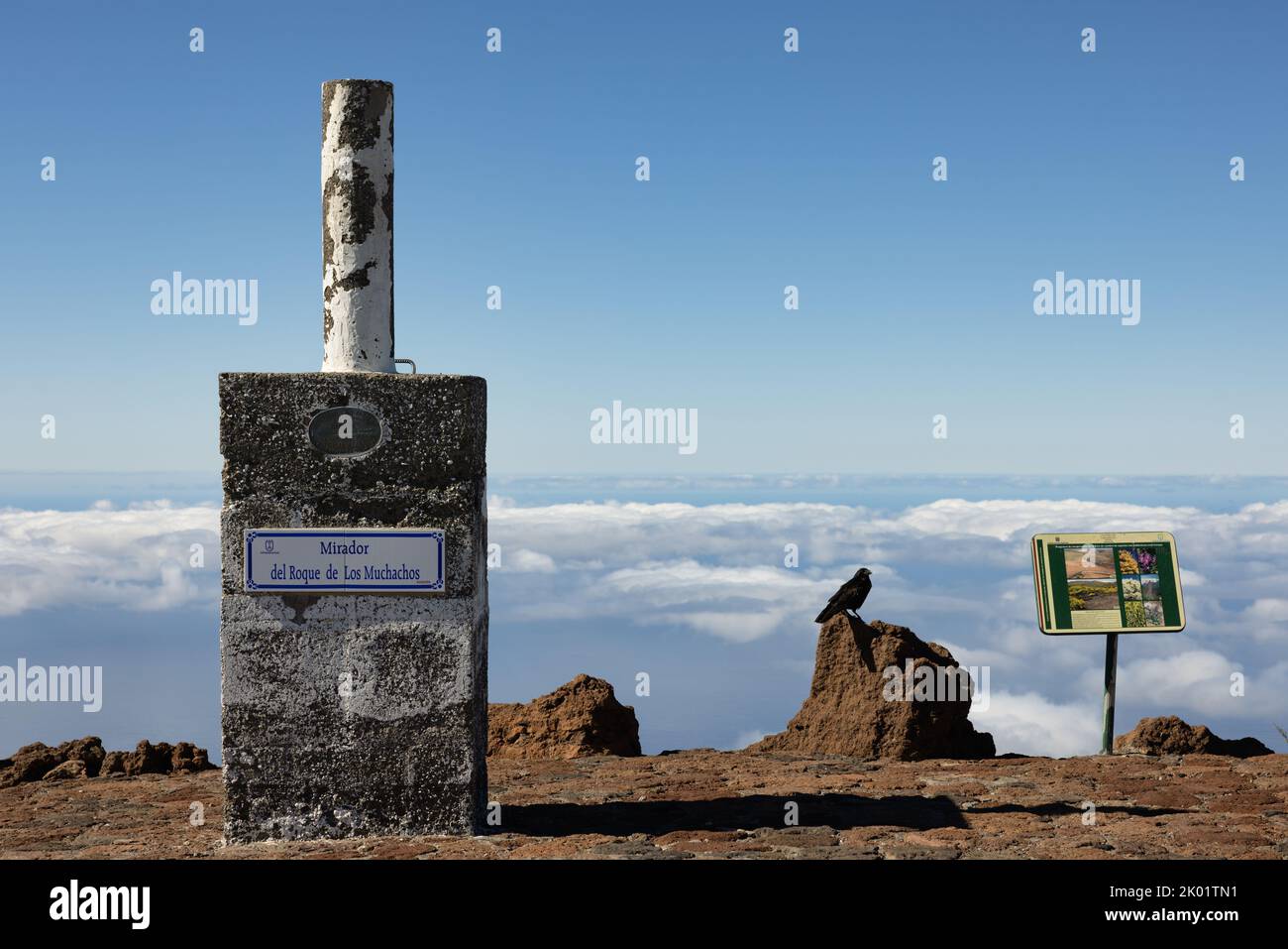 Mirador Roque de Los Muchachos with crow at La Palma, Canary Islands, Spain Stock Photo