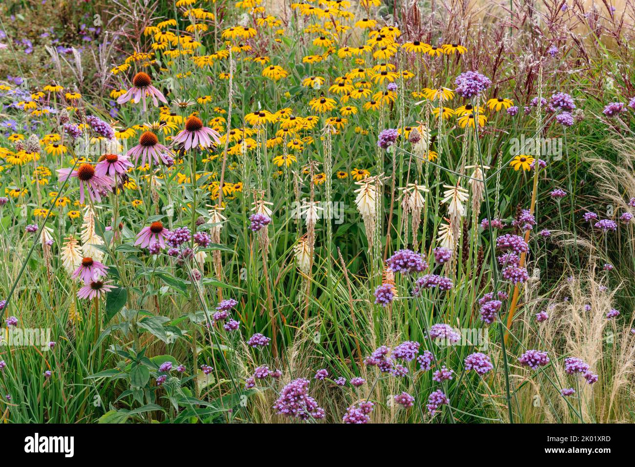 A summer garden border planted in Prairie style Stock Photo