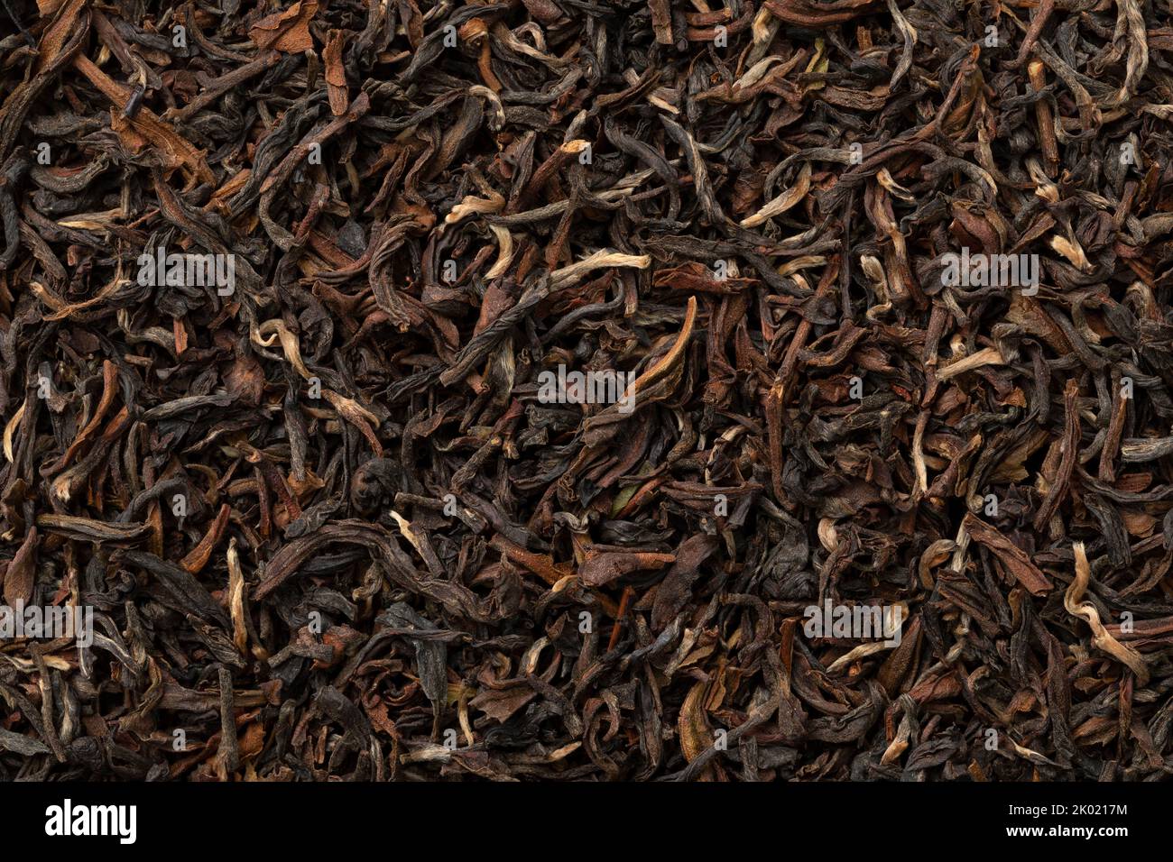Indian Ambootia Darjeeling tea close up full frame as background Stock Photo