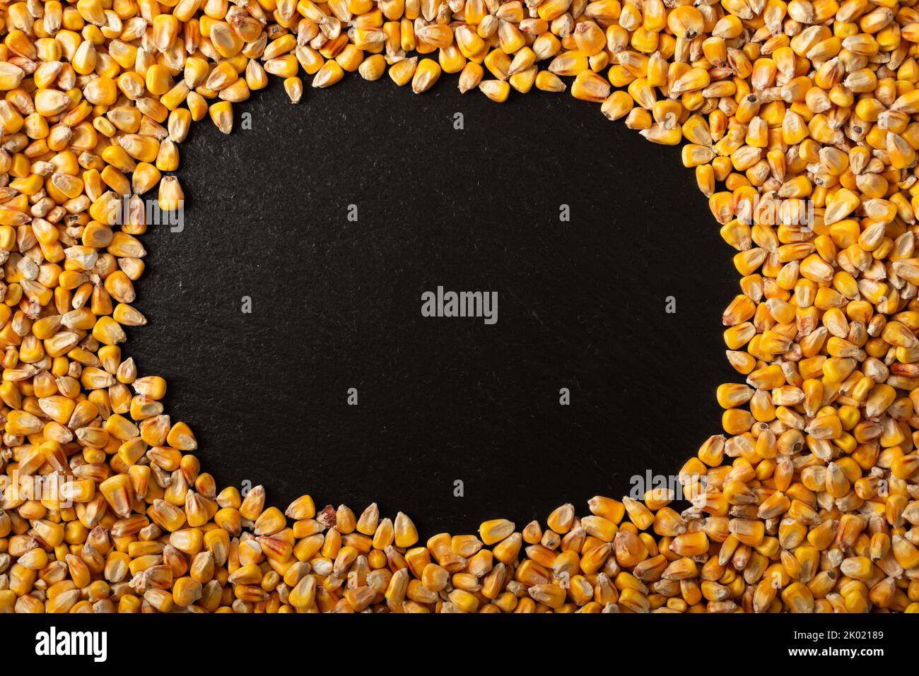 Maize corn background with copy-space flat lay Stock Photo