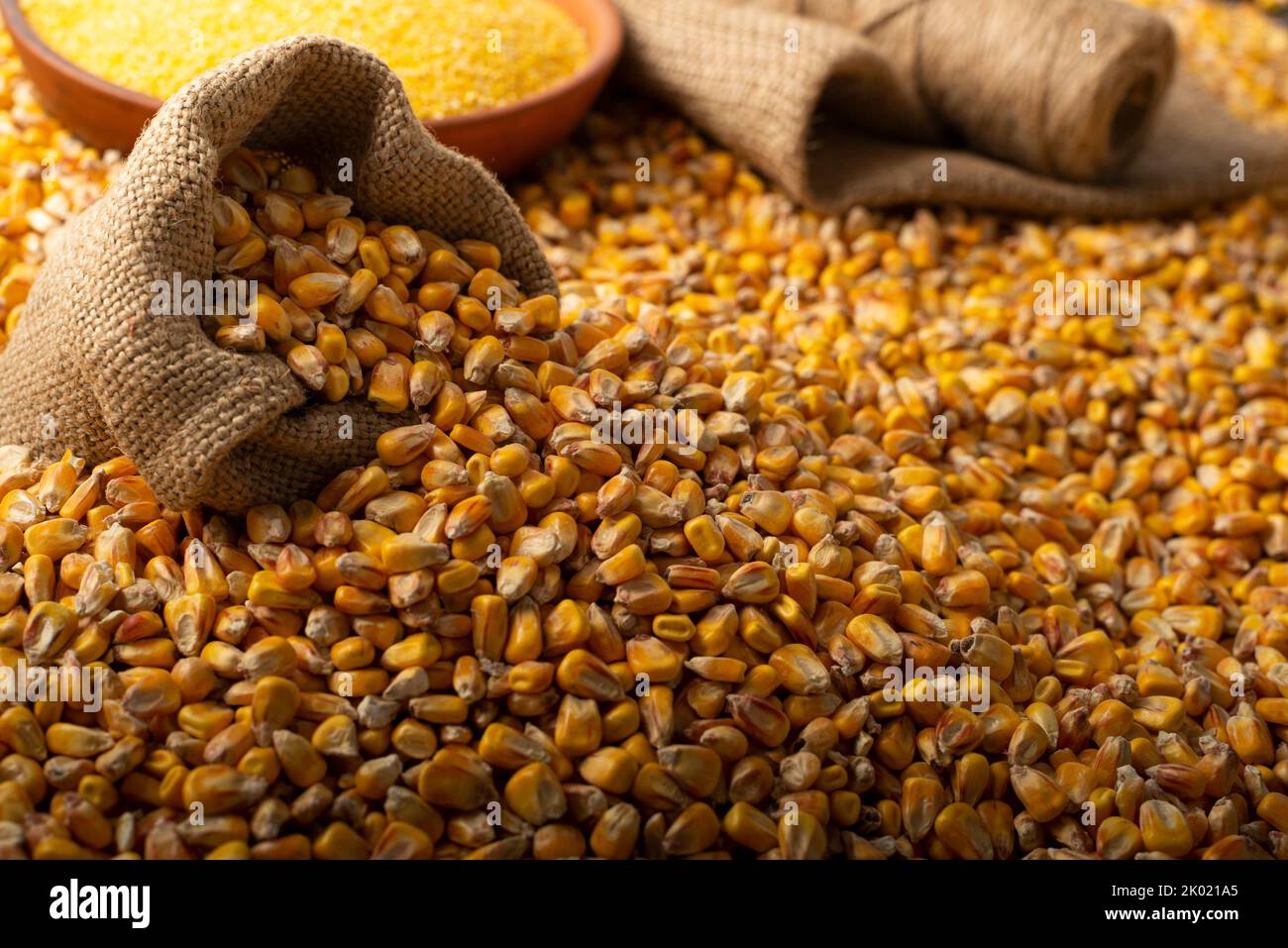 Yellow corn kernels with clay bowl in burlap sack Stock Photo