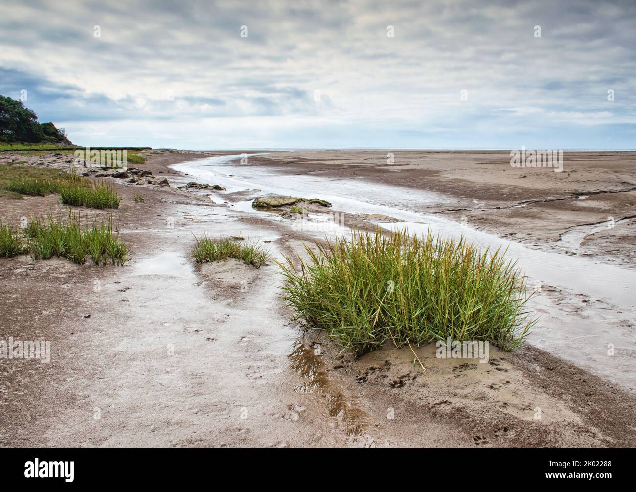 Looking along the desolate beach of Silverdale, at low tide, with sea grass in the foreground Stock Photo