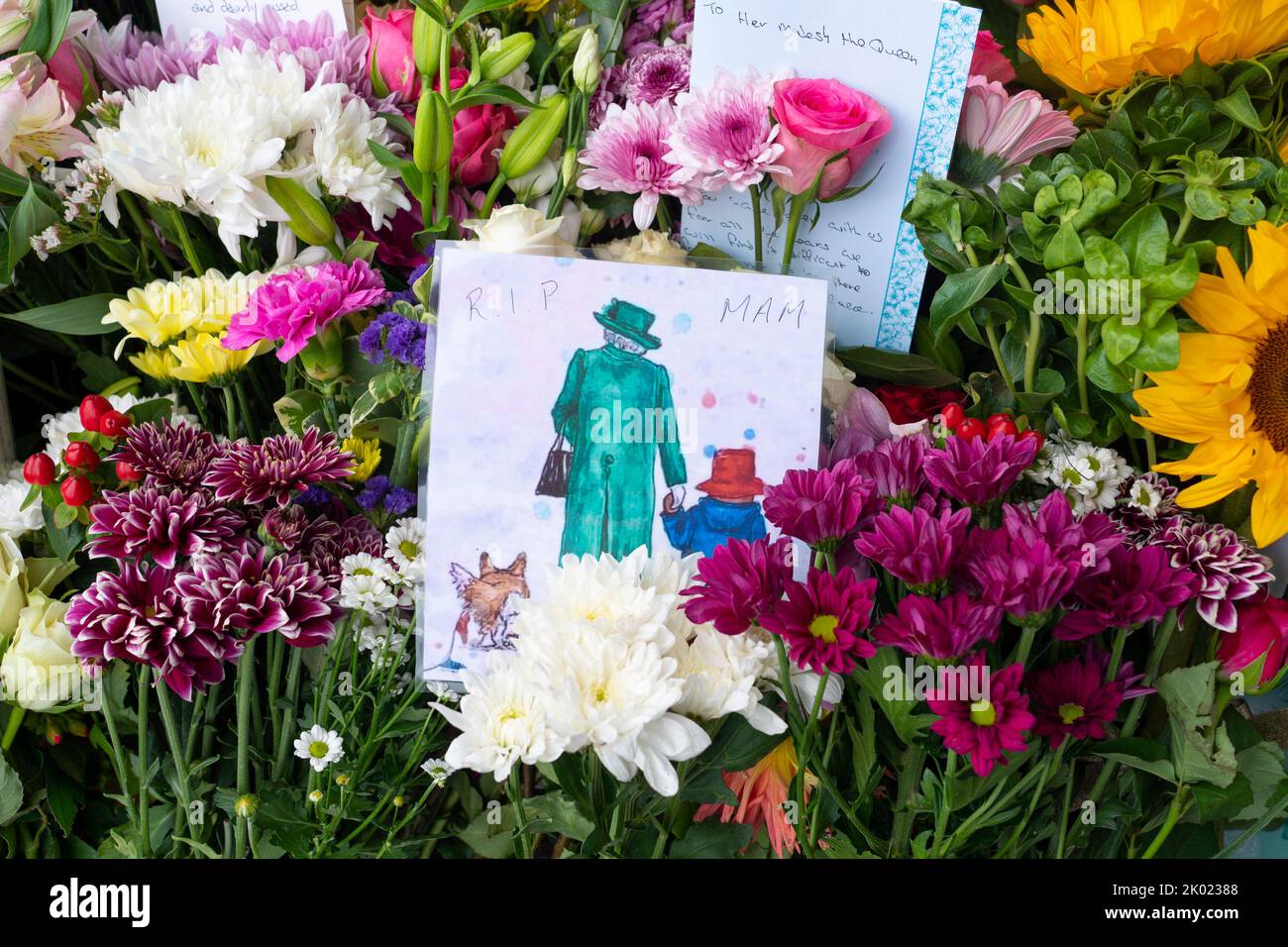 Balmoral, Scotland, UK. 9th September 2022. Members of the public laying flowers at the entrance gates to Balmoral Castle following news of death of HRH Queen Elizabeth II yesterday.  Iain Masterton/Alamy Live News Stock Photo