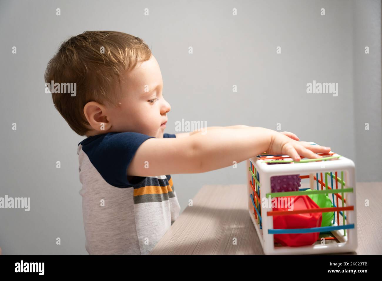 A cute toddler boy is playing a game with sensory colorful balls. Sensory and tactile activities. Games for children one and a half years old. Attenti Stock Photo