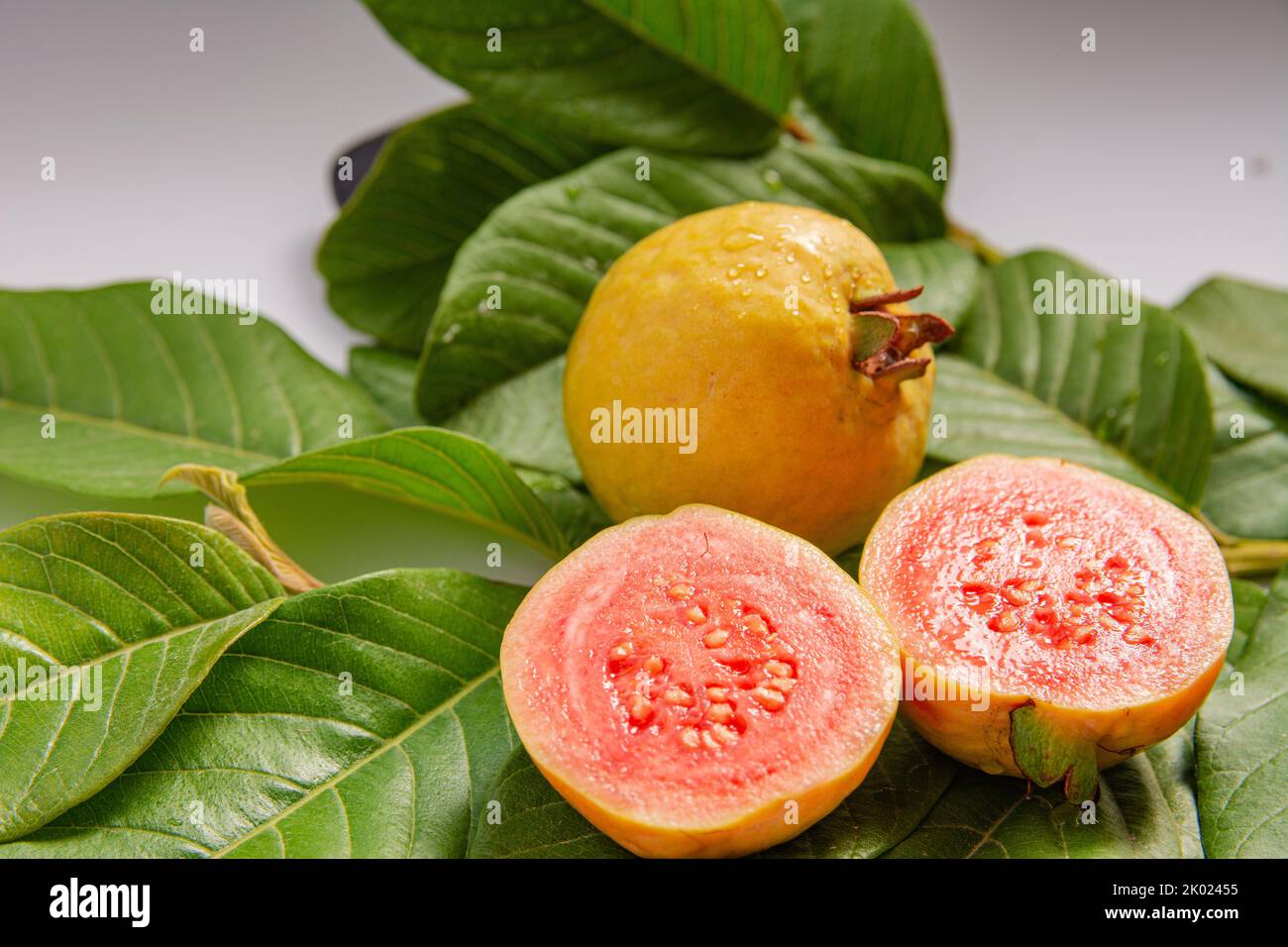 Ripe yellow fruits and leaves of guava on a white background. Beautiful ...