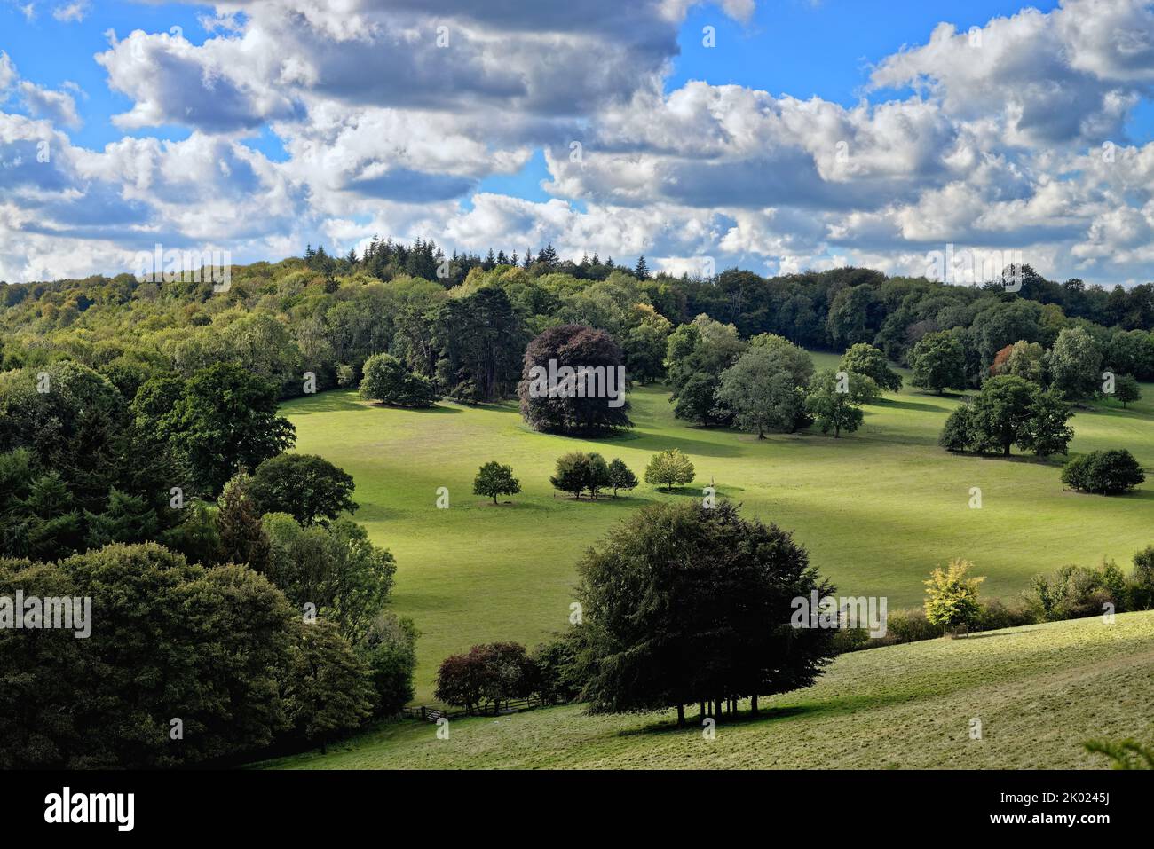 The countryside at Ranmore Common on a late summers day in the Surrey Hills England UK Stock Photo