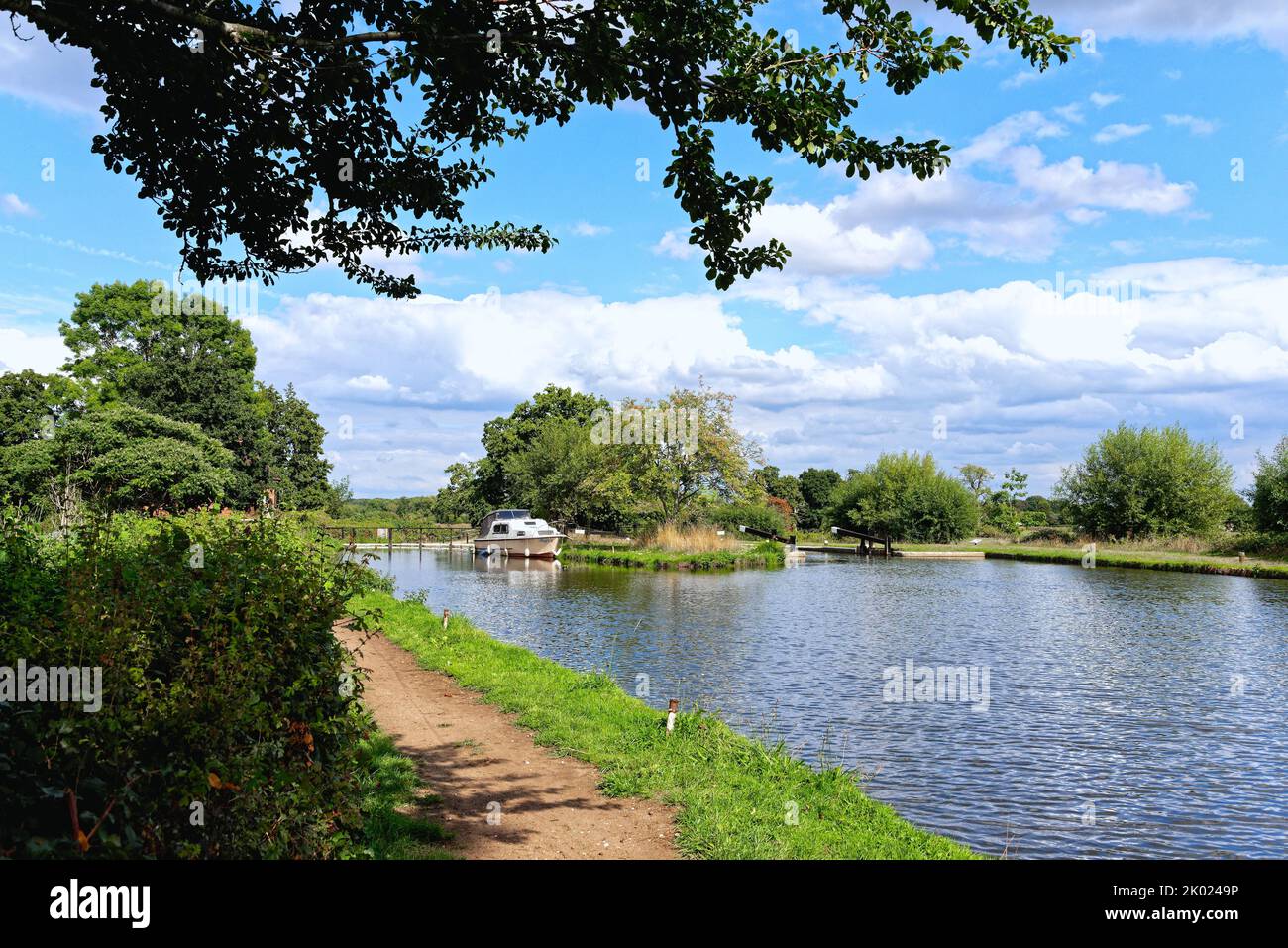 The River Wey Navigation canal at Papercourt lock,  Ripley on a sunny summers day Surrey England UK Stock Photo