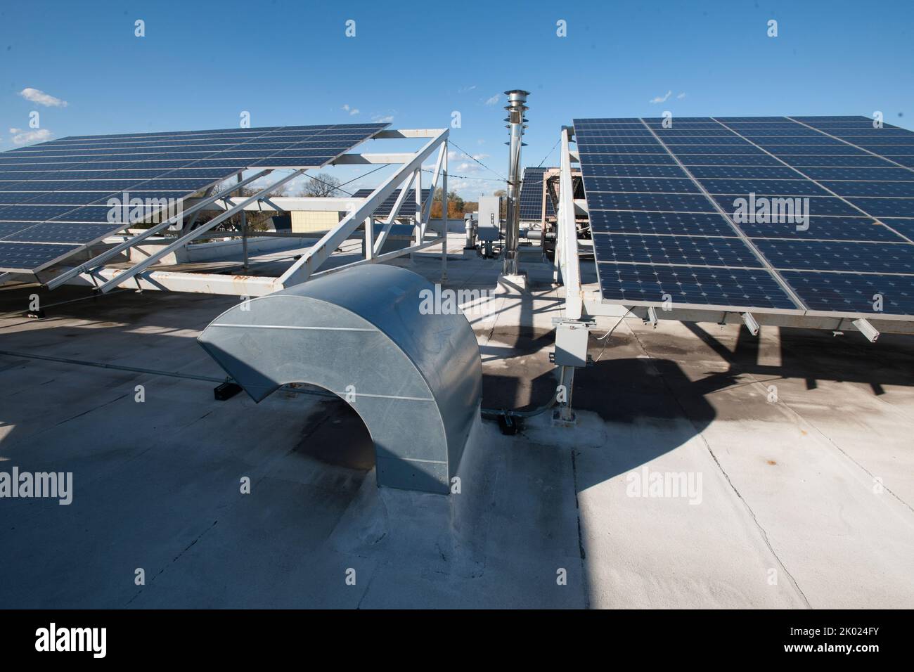 View of West Elm: Modern Furniture, Home Decor, Lighting & More