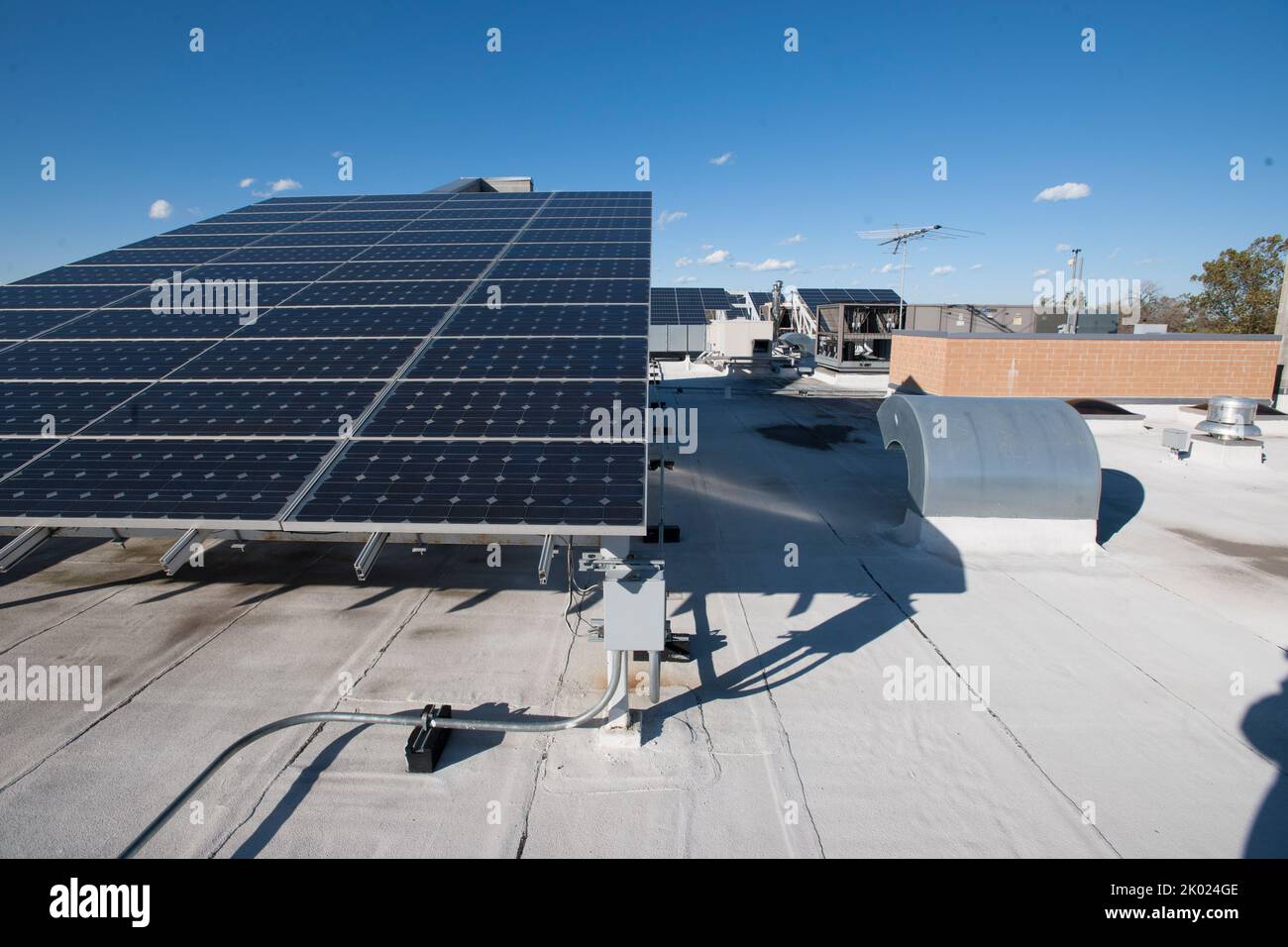 Wentworth Commons Apartments, Chicago, Illinois multifamily housing