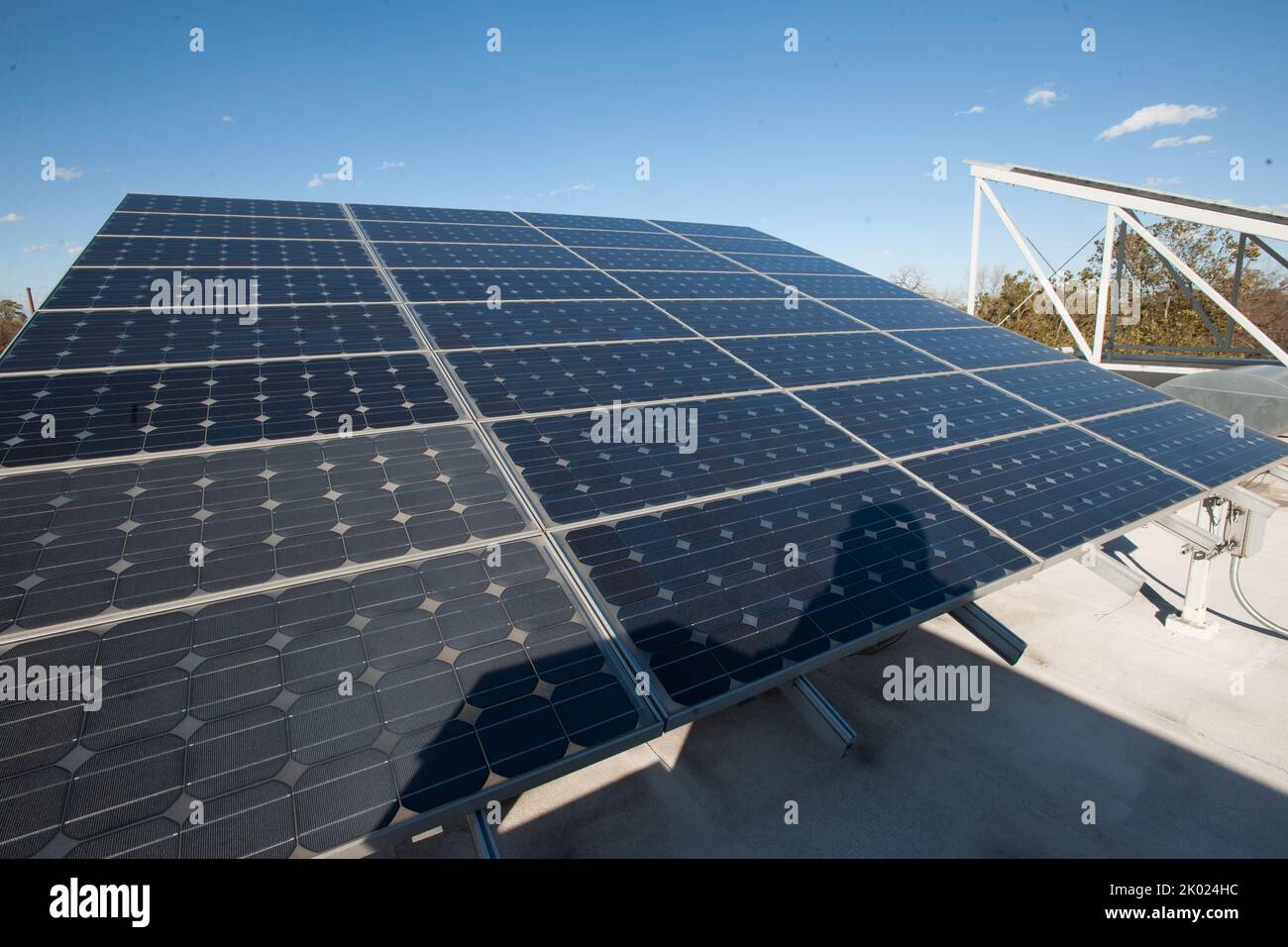 Image showcasing SARTODOORS Panel Pocket Door - Quadro 4111 Ginger Ash - Lowe's