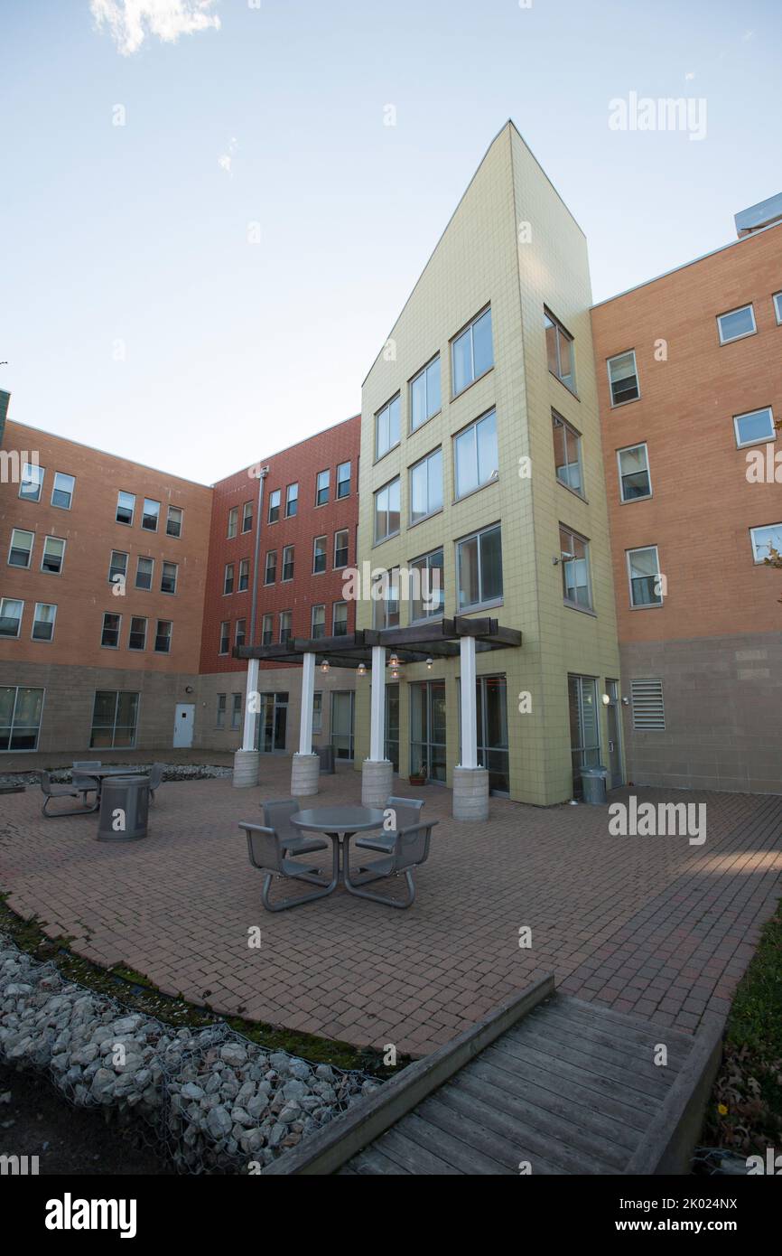 Illustration of Eco Friendly Decor For Apartments