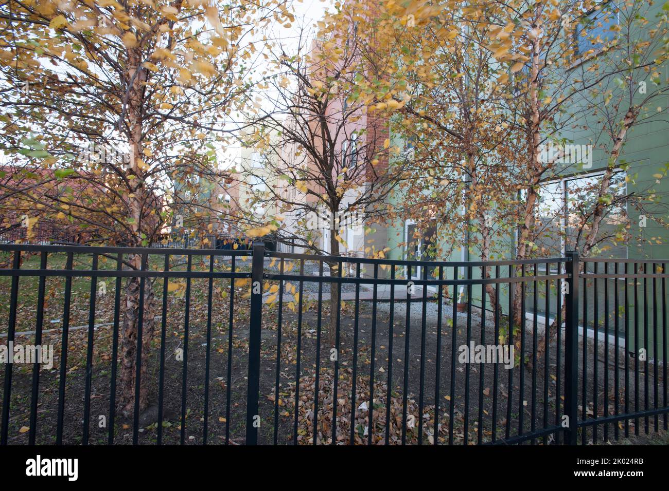 Wentworth Commons Apartments, Chicago, Illinois multifamily housing