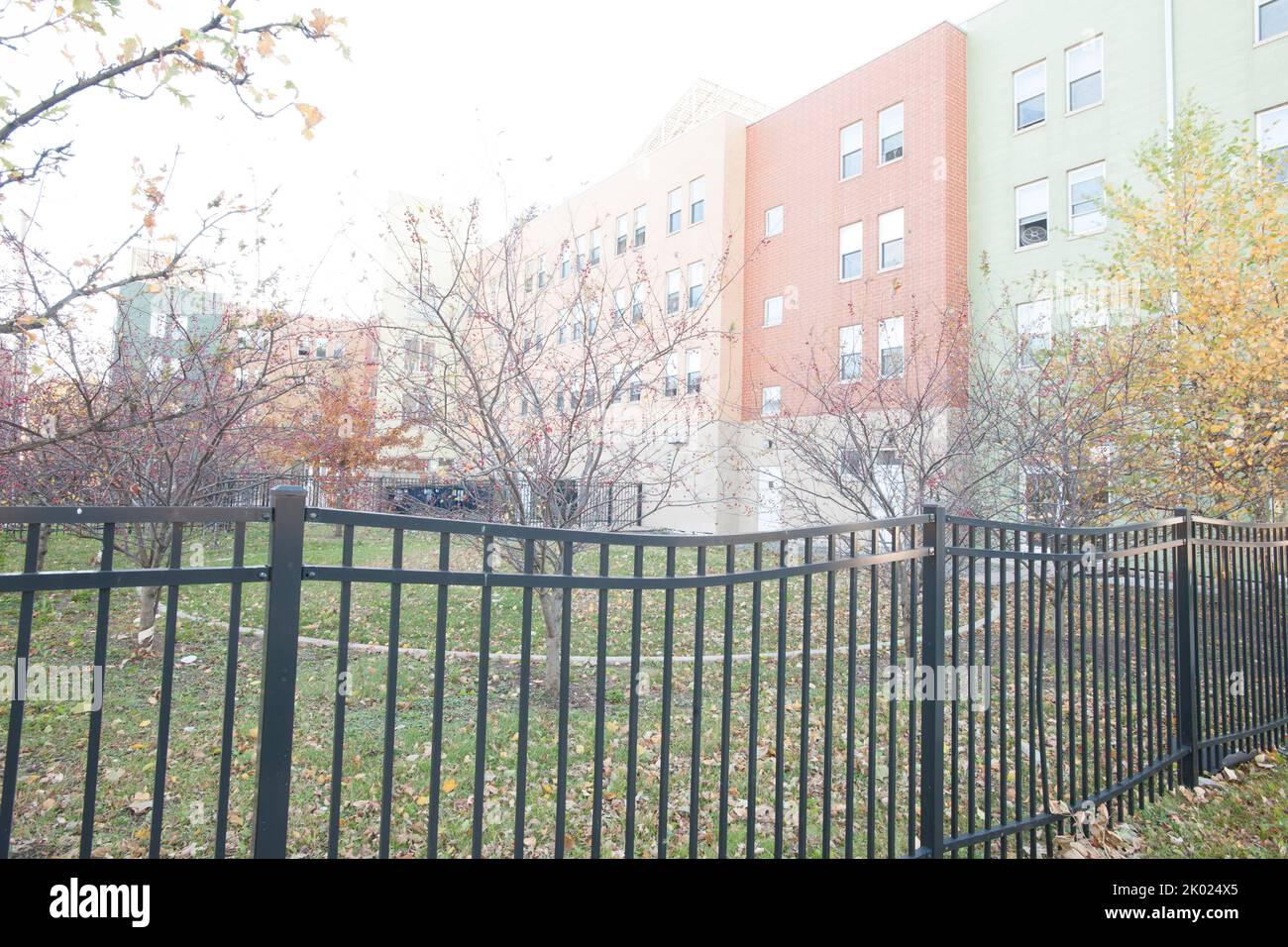 Image showcasing Driven Car Guide - Reviews, Comparisons and Automotive News