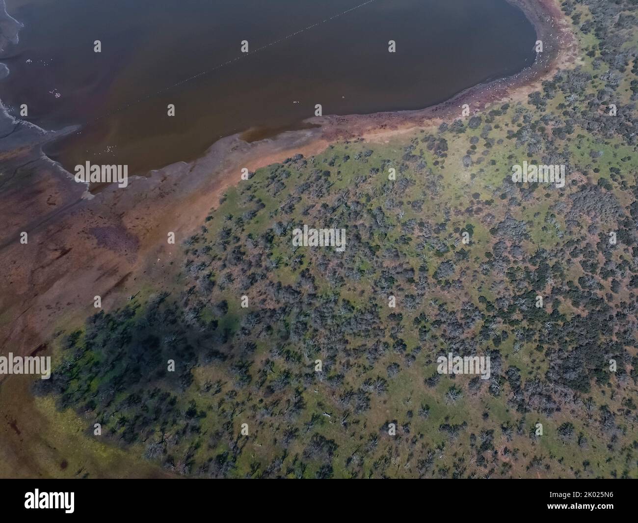 Aerial landscape. La Pampa Argentina Stock Photo