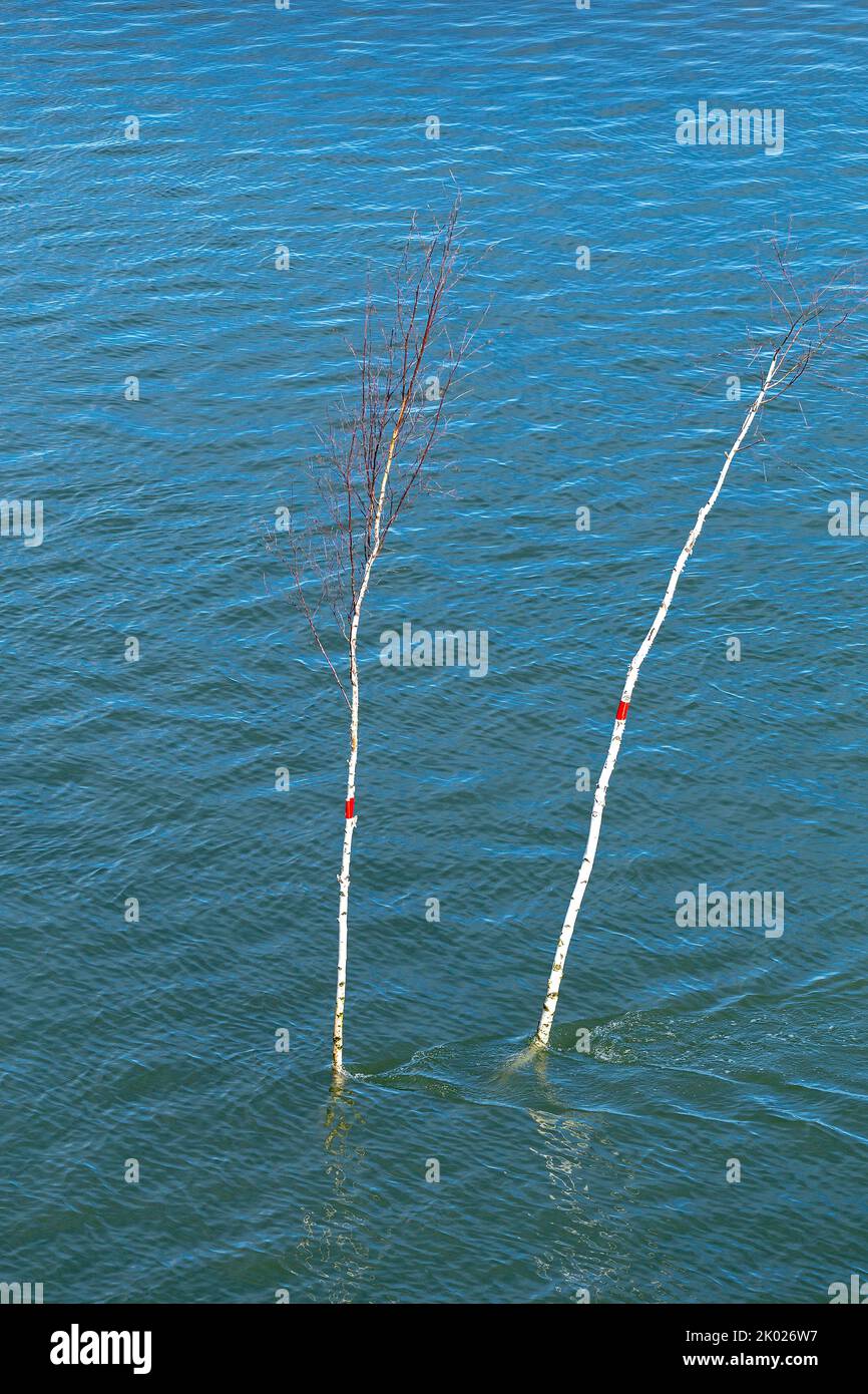 twigs marking the shipping channel to Föhr Island, North Friesland, Schleswig-Holstein, Germany Stock Photo