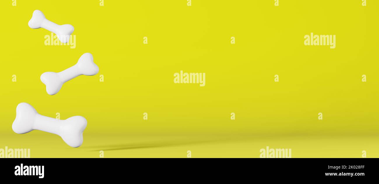 Realistic healthy white dog bones 3d rendering website banner footer