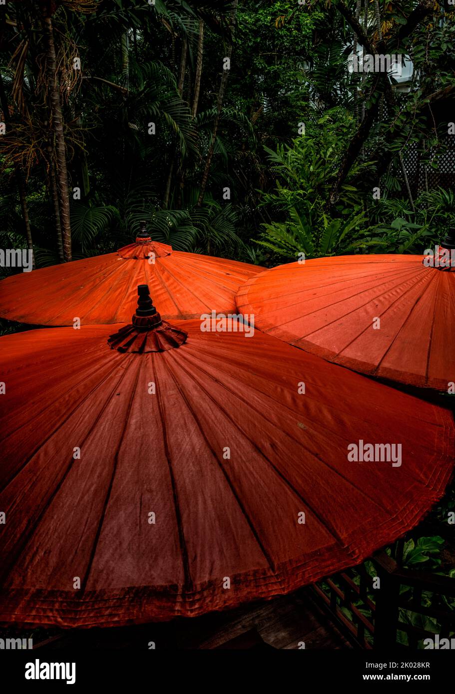 Umbrellas at Jim Thompson's House in Bangkok, Thailand Stock Photo