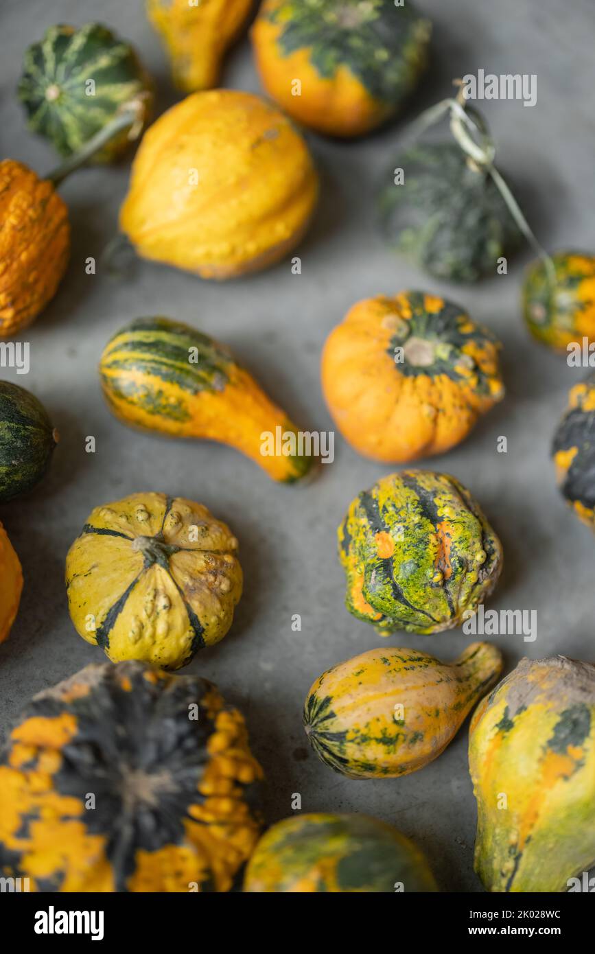 Background of mini decorative pumpkins spread out on the floor. Concept of autumn and halloween holidays Stock Photo