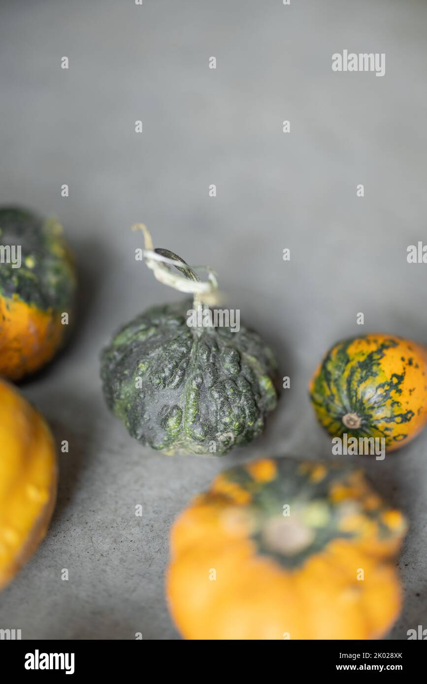 Decorative pumpkins spread out on the floor. Concept of autumn and halloween holidays Stock Photo
