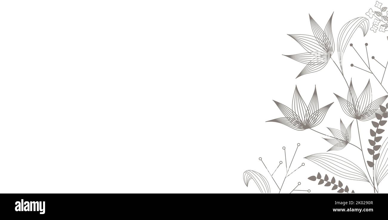Flowers illustration hand drawn nature banner - Floral design leaves and petals - Art background style Stock Photo