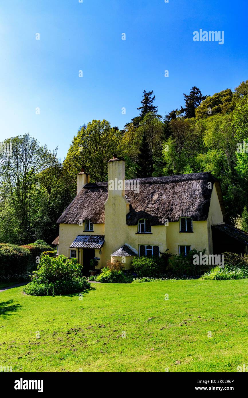 Bow Cottage is an attractive thatched cottage at Selworthy Green on the Holnicote Estate, Somerset, England, UK Stock Photo