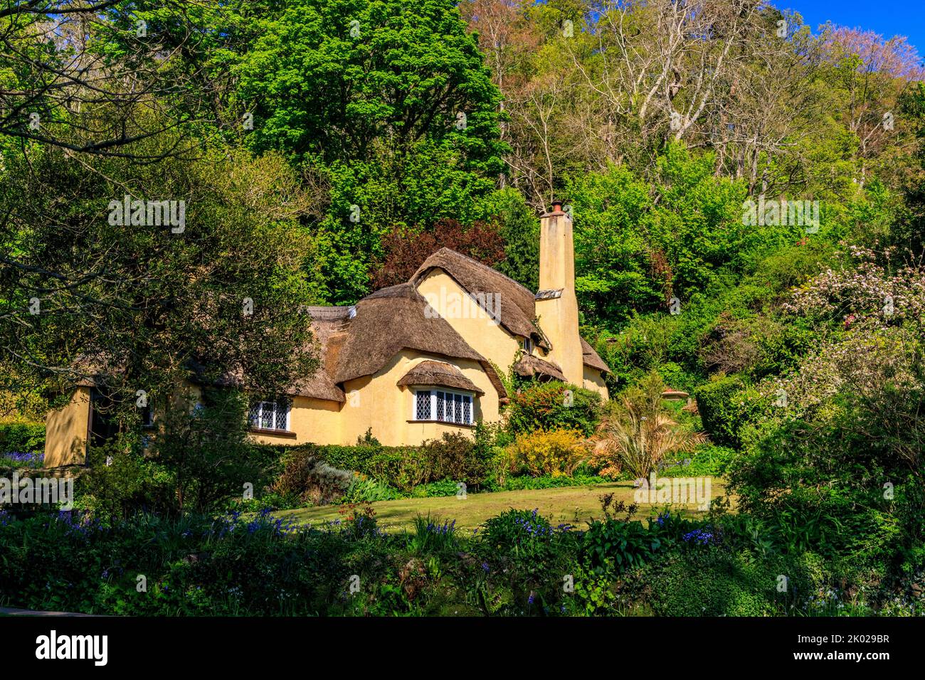 Postman's Cottage is an attractive thatched cottage at Selworthy Green on the Holnicote Estate, Somerset, England, UK Stock Photo