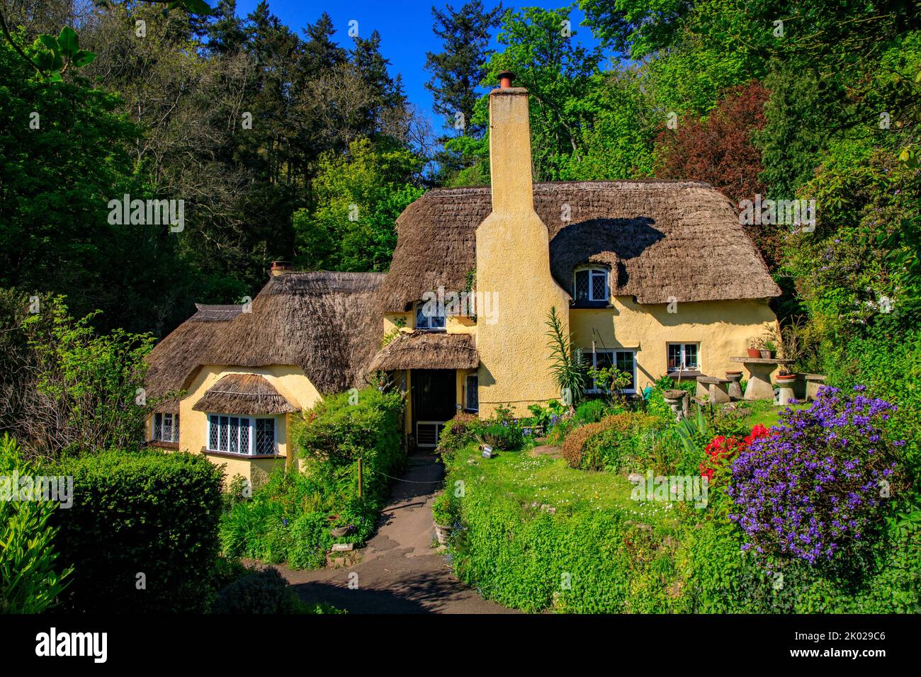 A pair of attractive thatched cottages at Selworthy Green on the Holnicote Estate, Somerset, England, UK Stock Photo