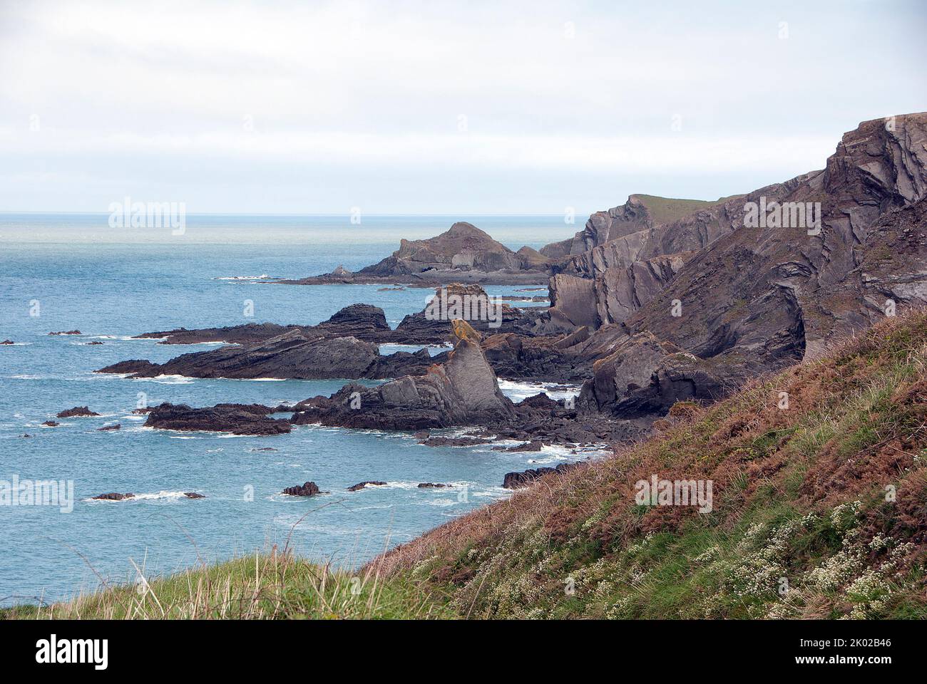 DEVON; HARTLAND QUAY; FOLDING ROCK FORMATIONS Stock Photo - Alamy