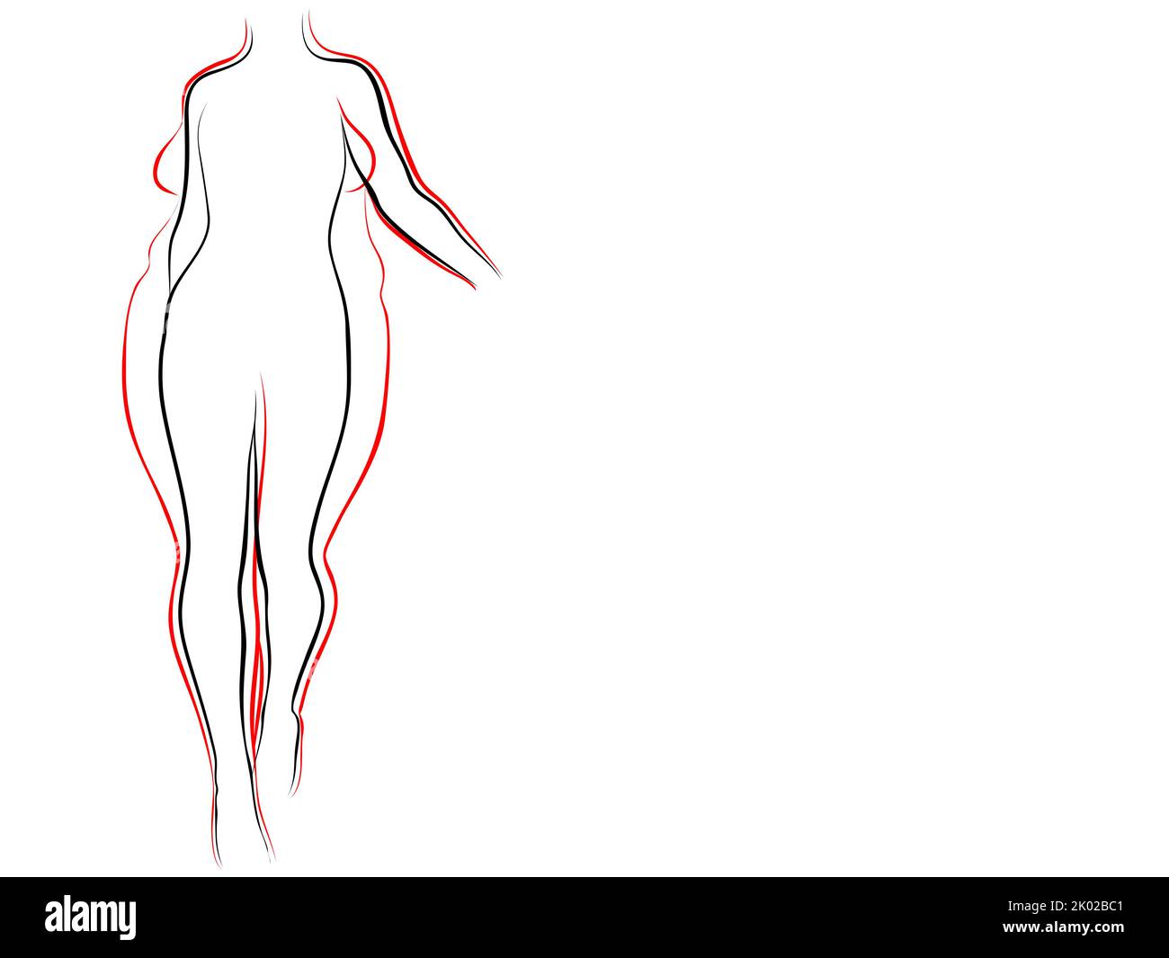 Conceptual fat overweight female vs slim fit healthy body after weight