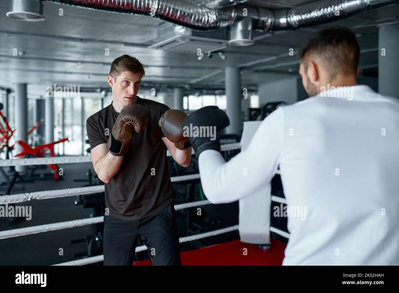 Two sparring partners in boxing gloves practice kicks Stock Photo