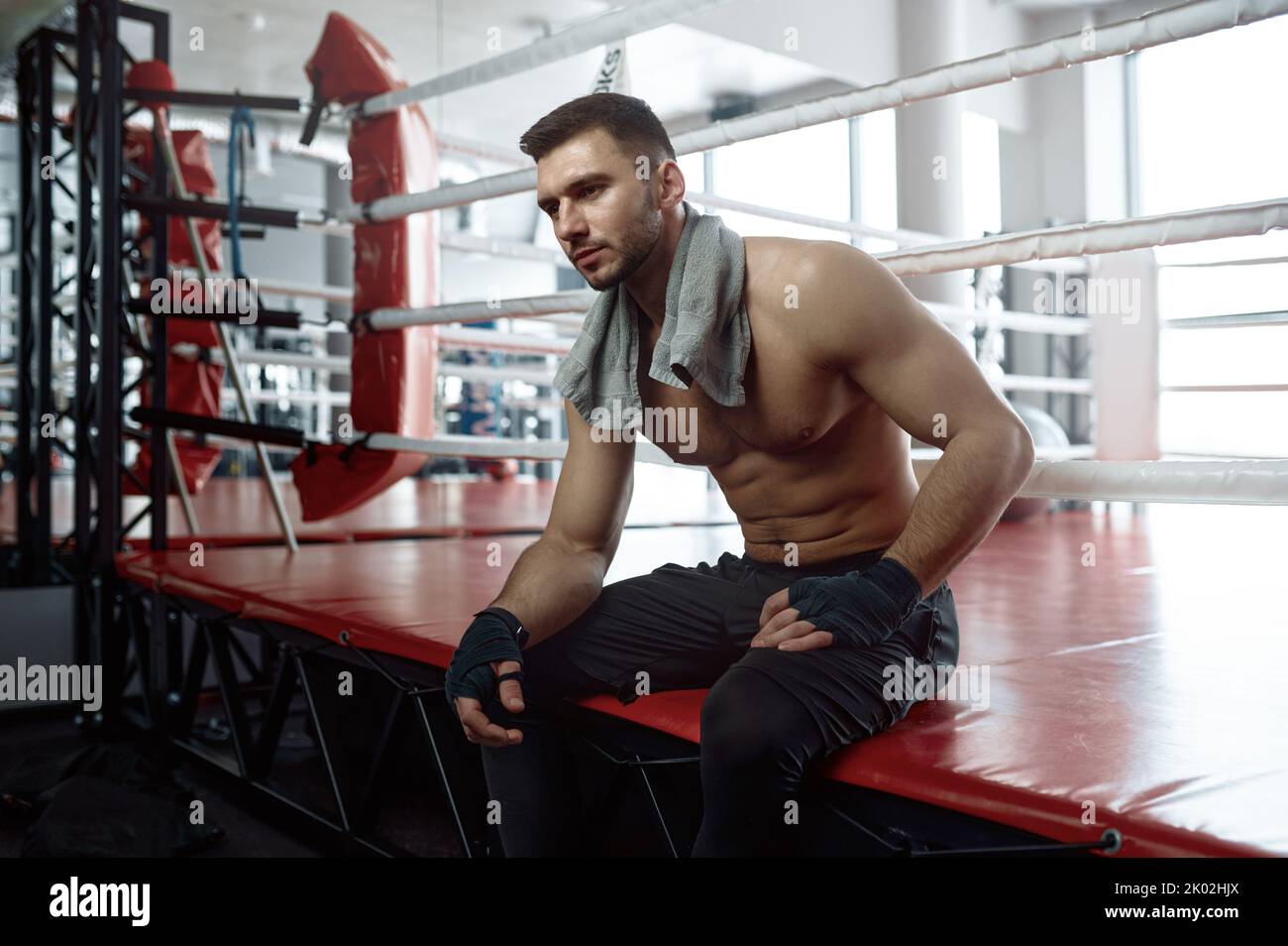 Muscular male boxer sitting on boxing ring mat Stock Photo Alamy