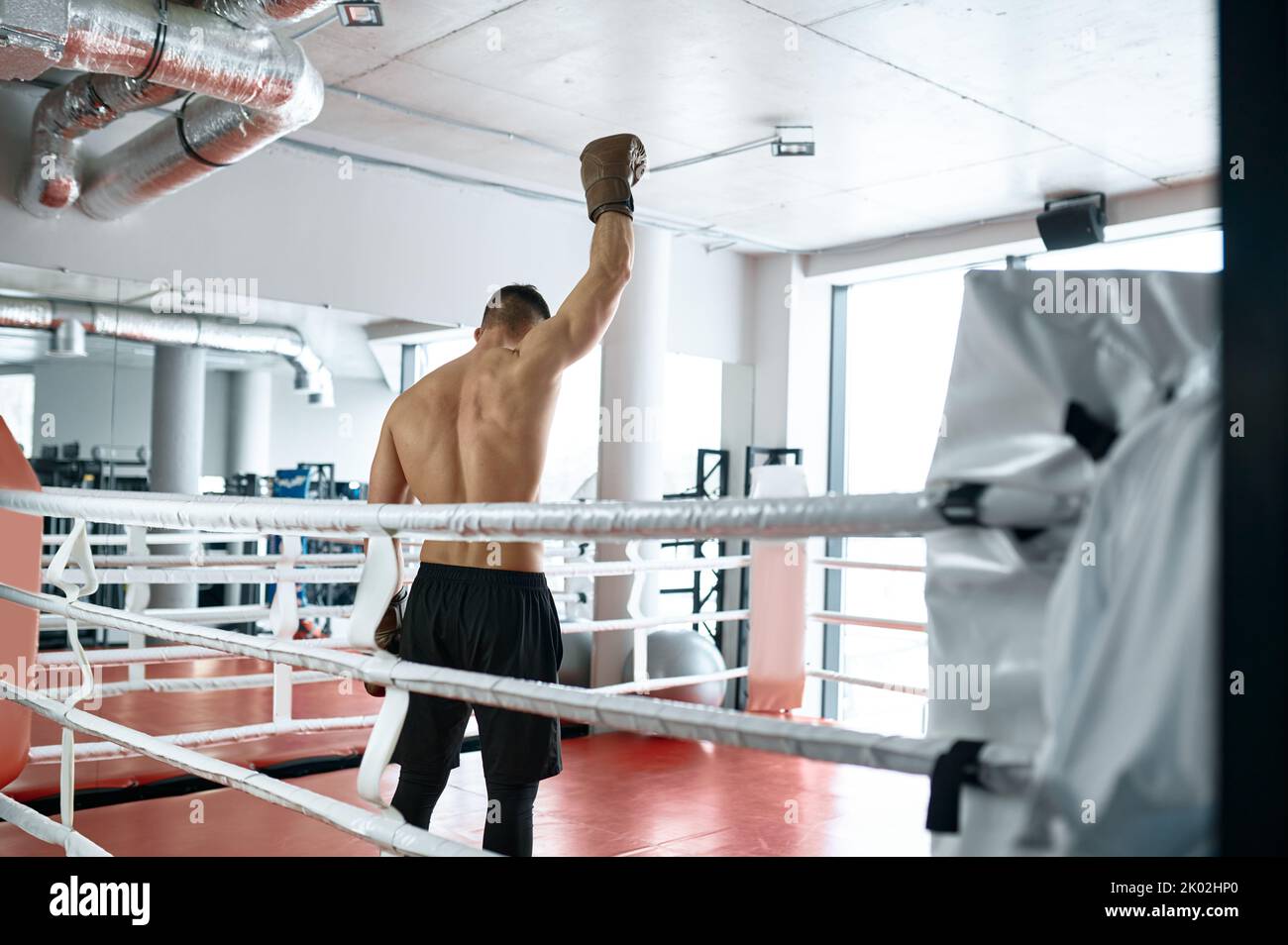 View from back on boxer with raised hand in boxing glove Stock Photo