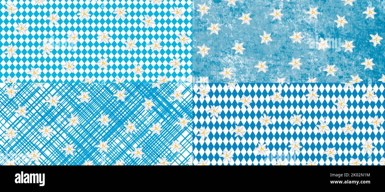 Blue and white Oktoberfest background with edelweiss Stock Photo