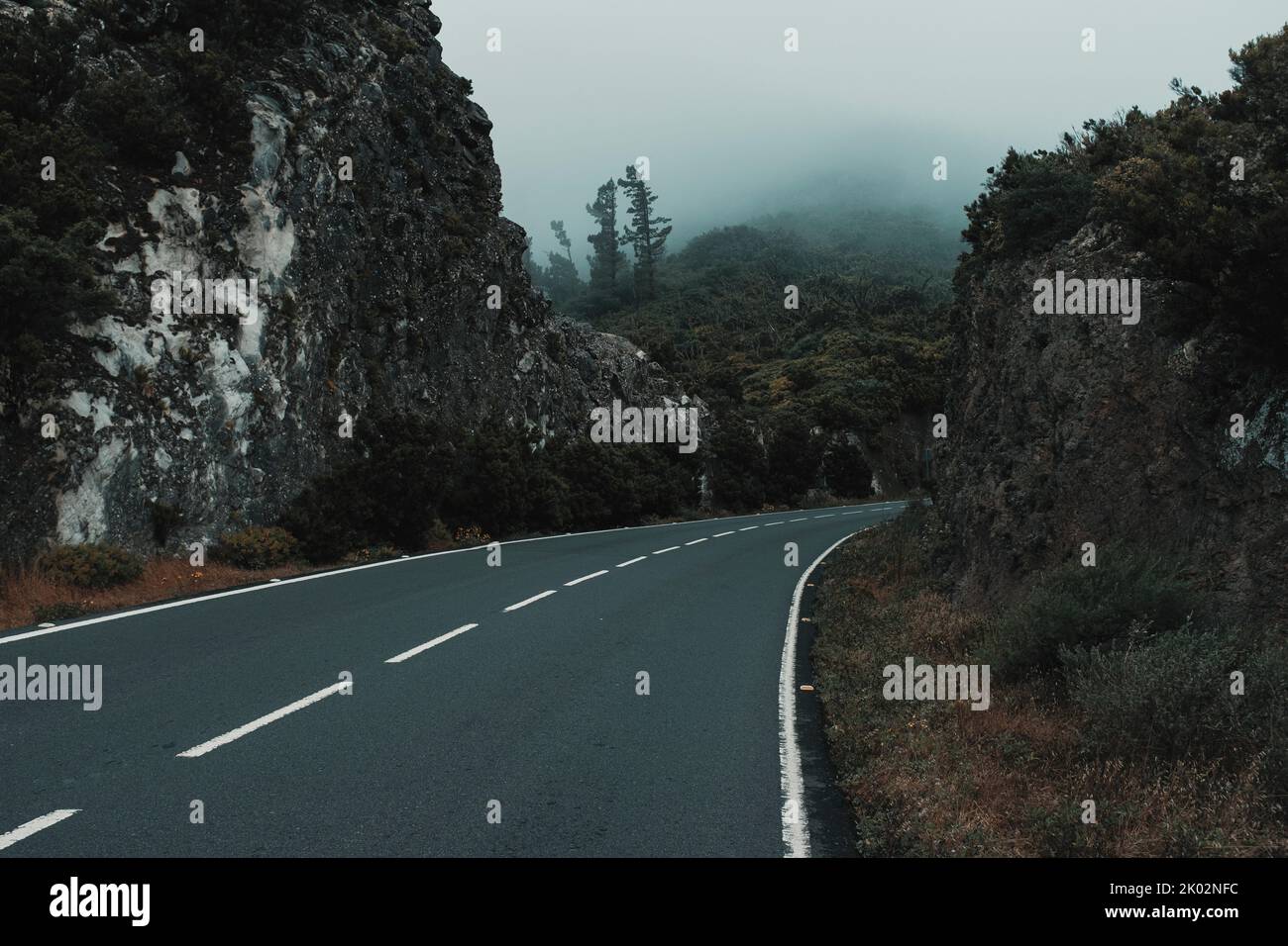 Destination and travel on the road concept. Long ashpalt straight road with scenic mountains and forest around. Outdoors driving journey. Vehicle transportation and amazing holiday vacation spot Stock Photo