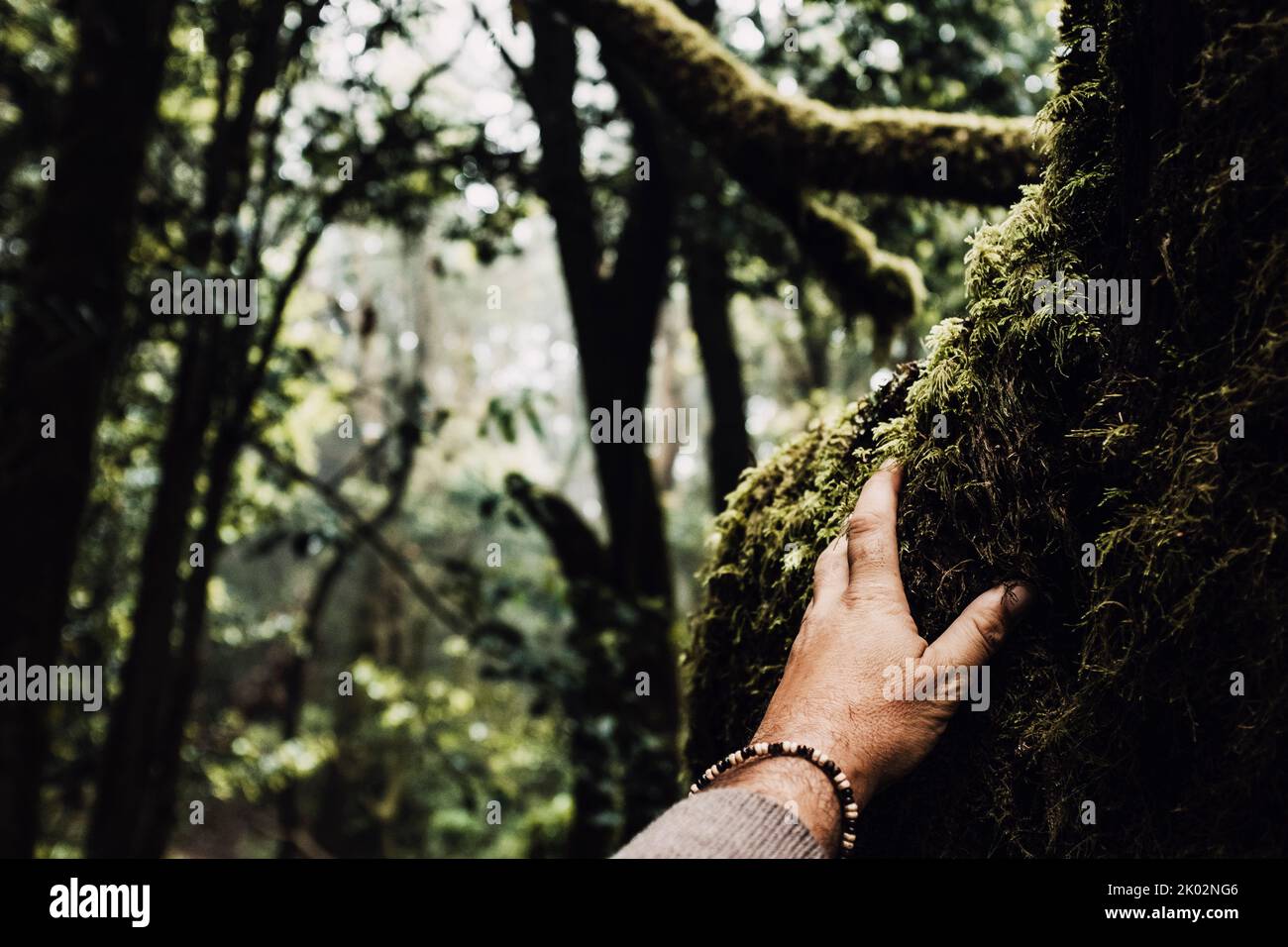 Human hand touching trunk tree with musk. Concept of nature protection and environment. Save forest from deforestation. Earth oxygen production. Deep woods and alternative natural lifestyle people Stock Photo