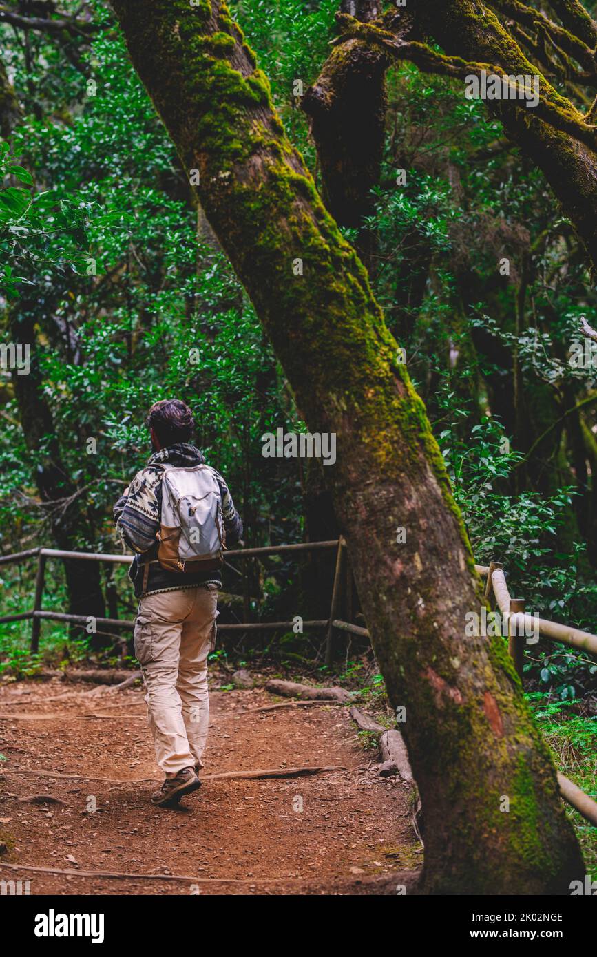 Back view of backpacker man walking in the green forest. Concept of people and outdoor leisure activity in the woods. Alternative adventure vacation trip. Stock Photo