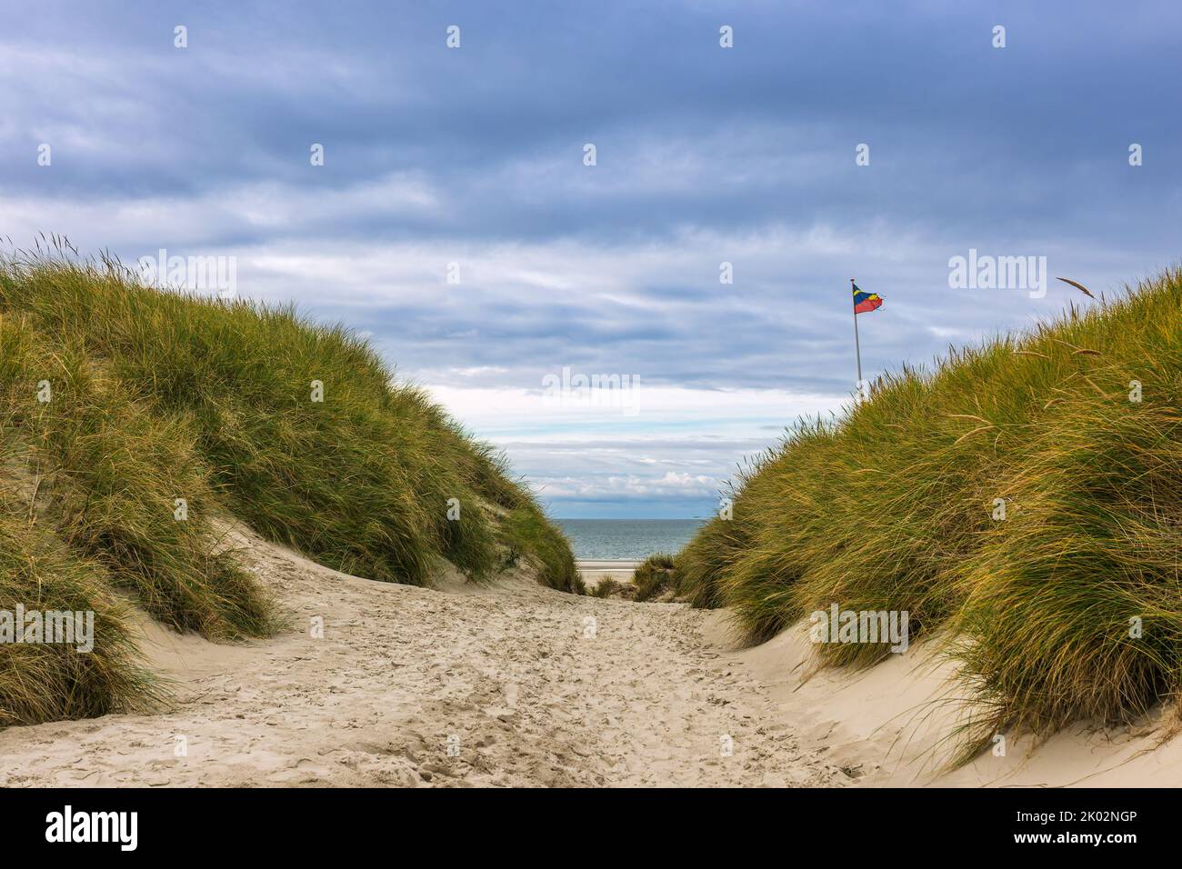 Landscape in the dunes on the North Sea island Amrum, Germany. Stock Photo
