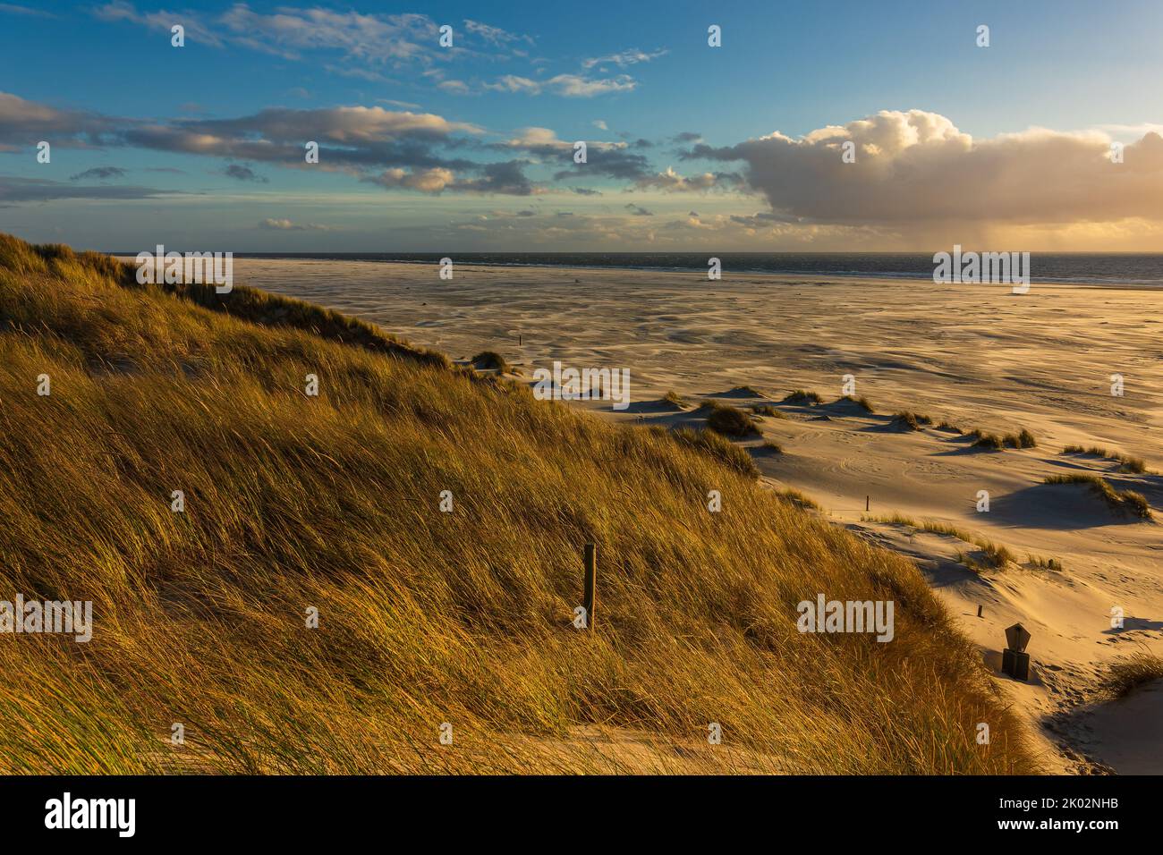 Landscape in the dunes on the North Sea island Amrum, Germany. Stock Photo