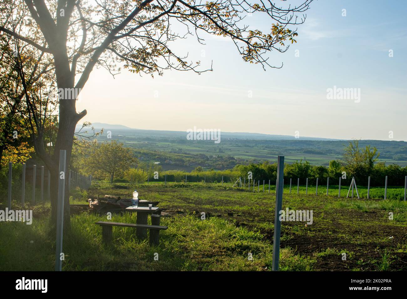A rural landscape of farms in summer Stock Photo - Alamy
