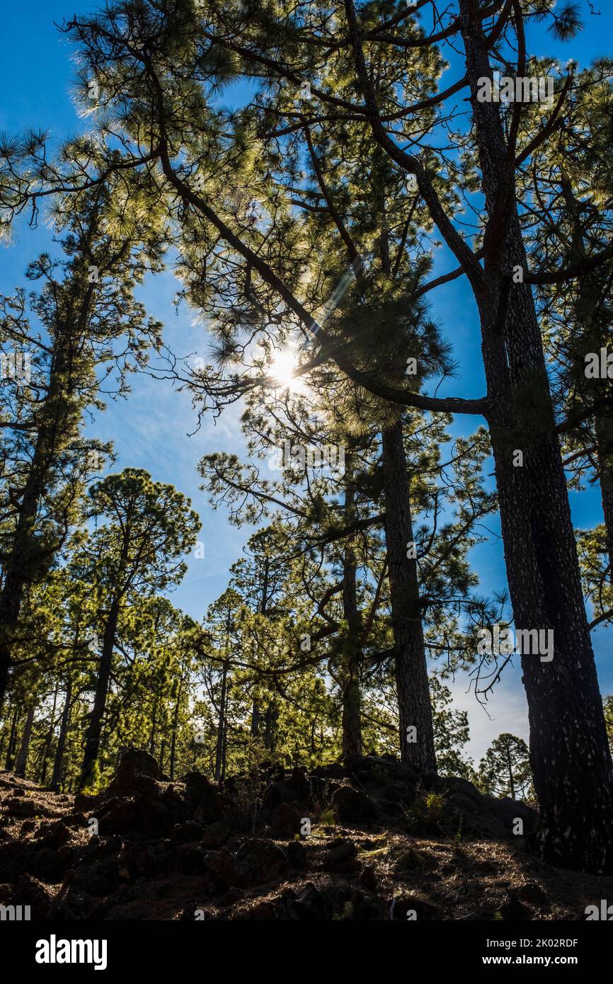 Beautiful nature outdoors hi-res stock photography and images - Alamy
