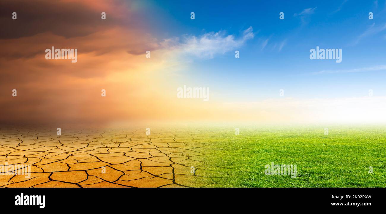 Change from dry earth to green meadow Stock Photo