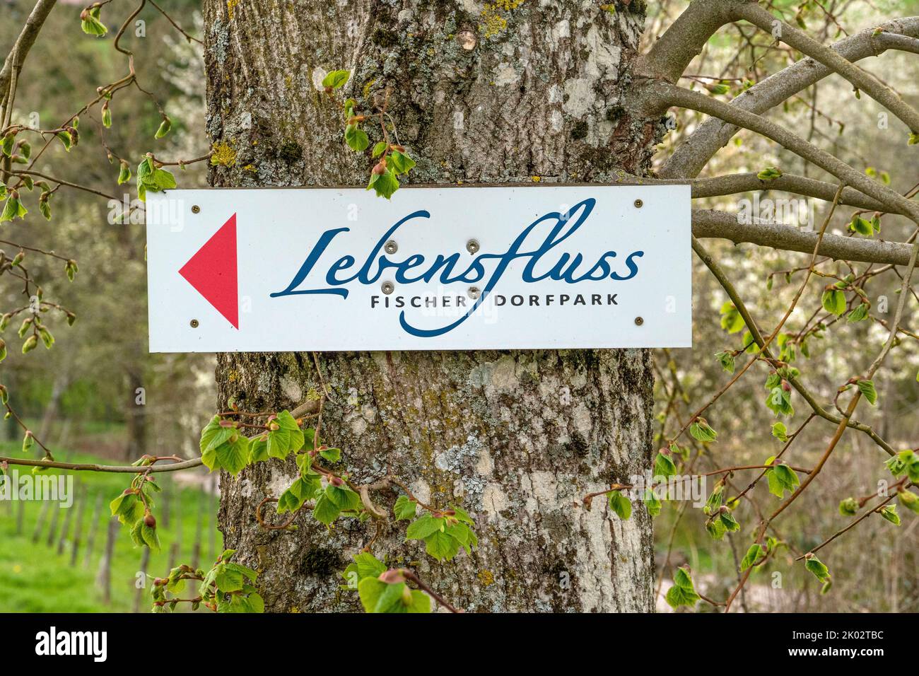 Fischer village park Lebensfluss, Saar-Hunsrück dream loops, hiking trail Mannebach 111, Saarburger Land, Rhineland-Palatinate, Germany Stock Photo