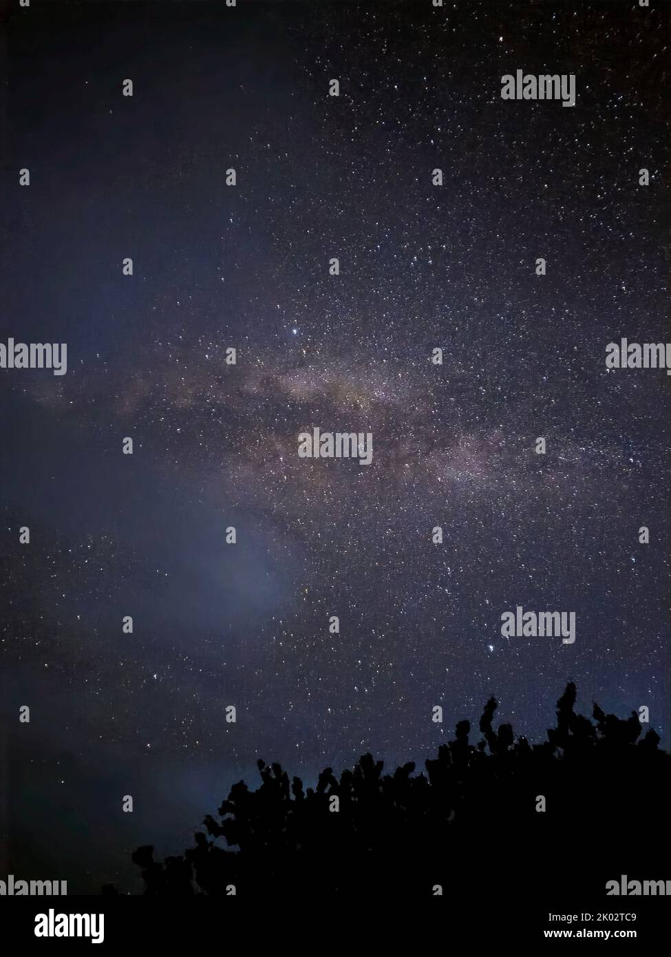 A vertical shot of the Milky Way shining bright in the night sky seen ...