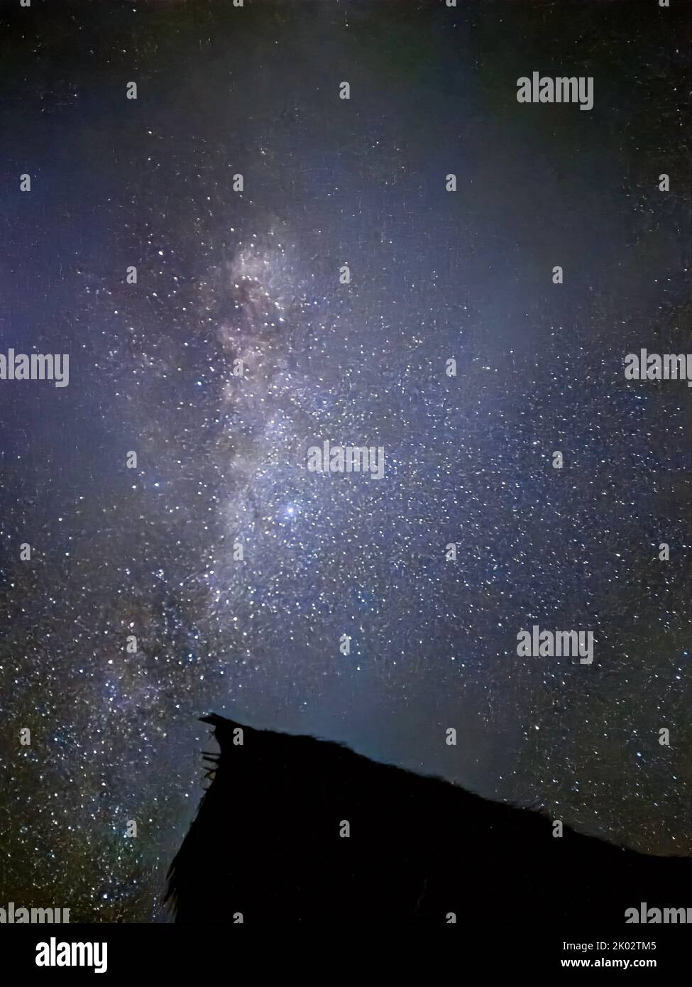 A vertical shot of the Milky Way shining bright in the night sky seen ...