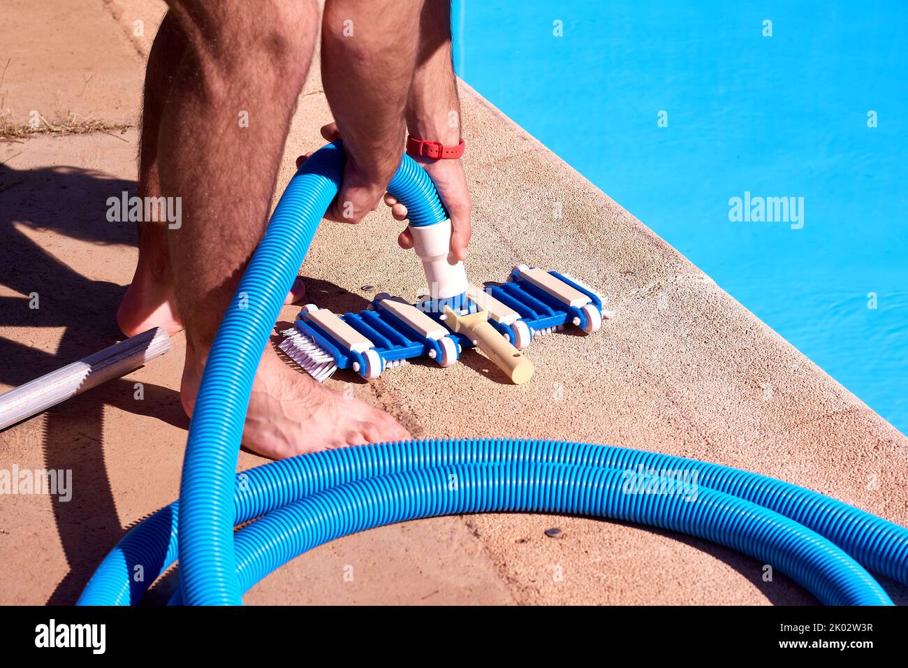 A preparation of pool cleaning tool, brush and suction hose before starting the job Stock Photo