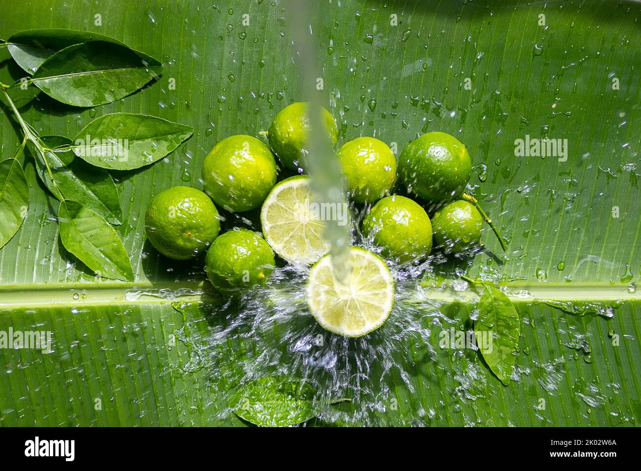 A closeup of limes under the water splash on a banana leaf Stock Photo Alamy