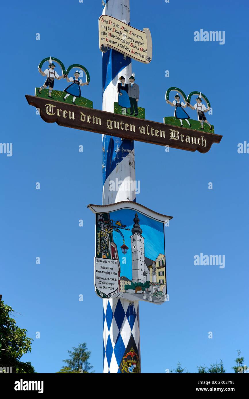 Germany, Bavaria, Upper Bavaria, Traunstein county, Waging am See, maypole, detail Stock Photo
