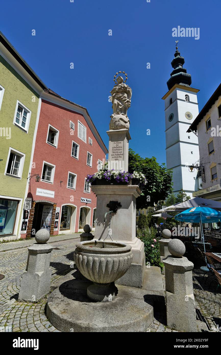 Germany, Bavaria, Upper Bavaria, Traunstein County, Waging am See, marketplace, Marian column, fountain, St. Martin parish church Stock Photo