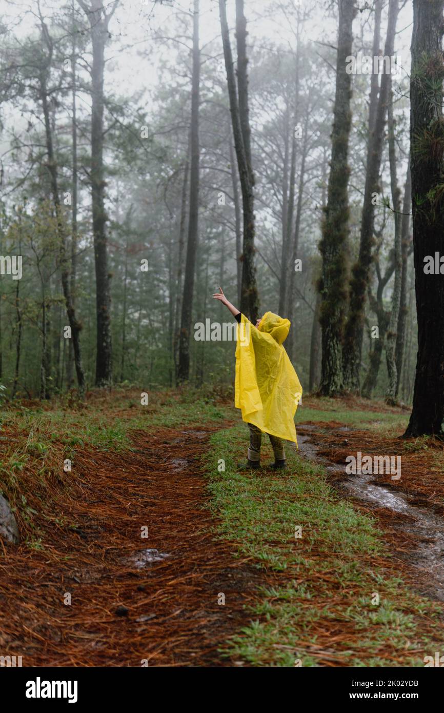 A person in yellow raincoat walking in a wet forest Stock Photo - Alamy